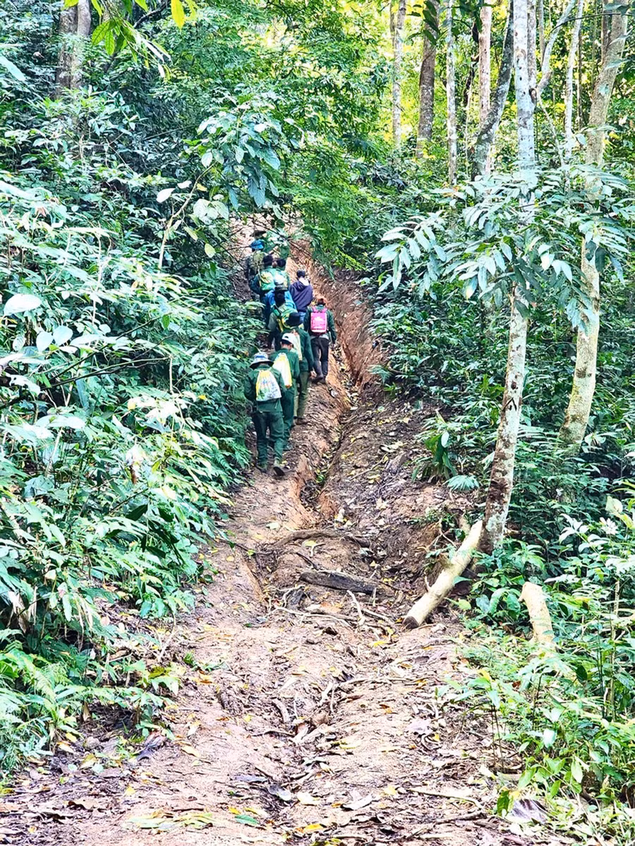 Những người đã thạo việc đi rừng thì mỗi ngày cũng có thu nhập từ 400 đến 600 ngàn đồng. Ảnh: Minh Nguyễn