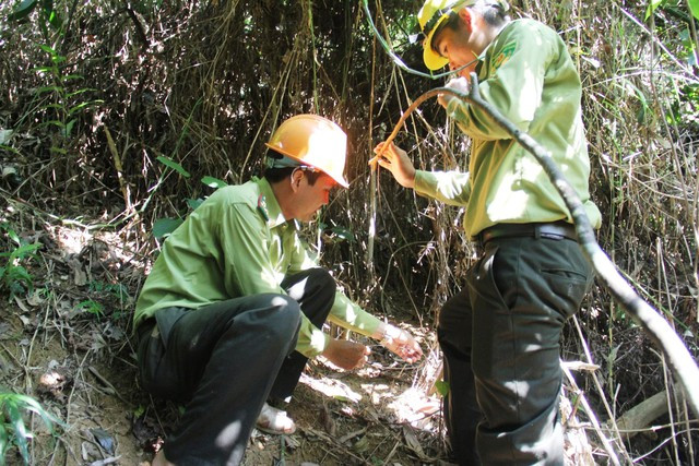 Những chiếc bẫy được cài đặt trong rừng già đã được tháo gỡ. Ảnh: MẠNH CƯỜNG