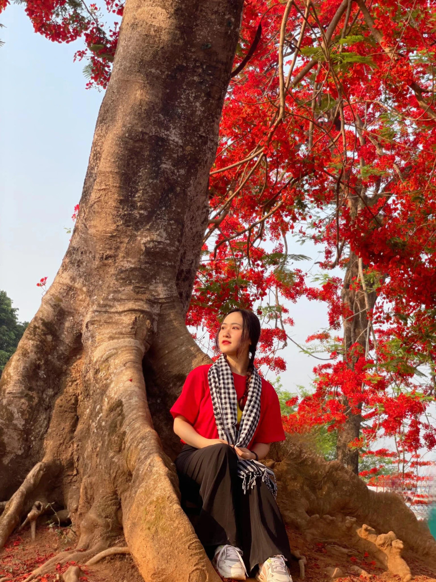 Với Ngọc đồi A1 là một trong những nơi ngắm hoa phượng đỏ đẹp nhất tại thành phố Điện Biên Phủ hào hùng, lịch sử. Ảnh: NVCC