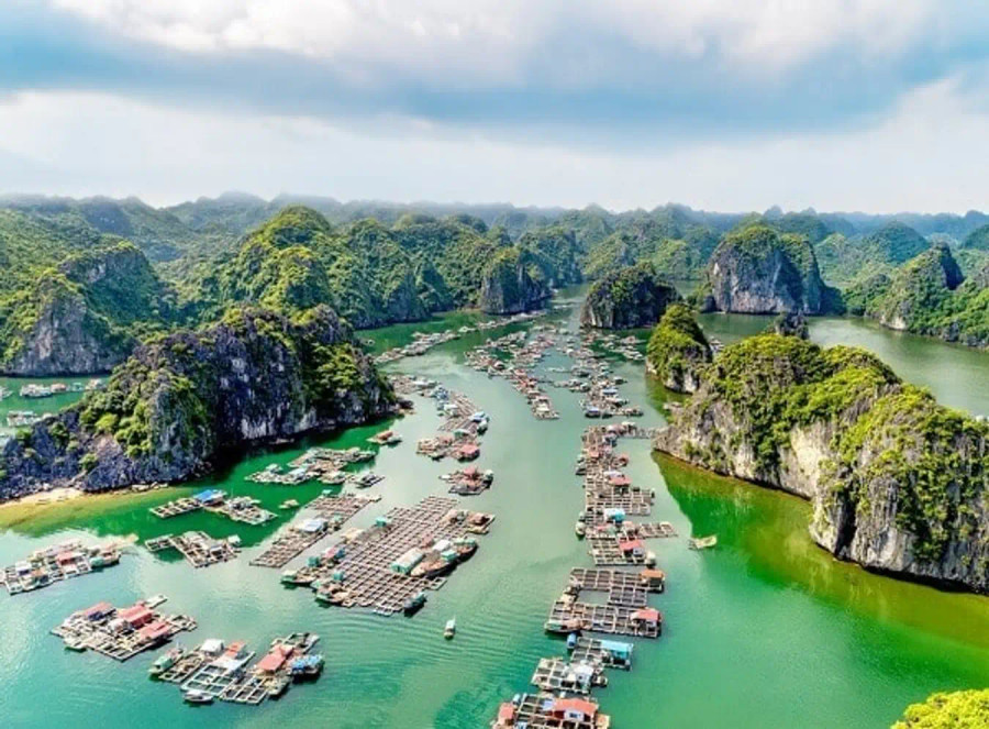 Thành phố cảng Hải Phòng được thiên nhiên ưu ái ban tặng nhiều cảnh quan thiên nhiên xinh đẹp. Ảnh nguồn internet Thành phố cảng Hải Phòng được thiên nhiên ưu ái ban tặng nhiều cảnh quan thiên nhiên xinh đẹp. Ảnh nguồn internet