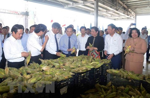 Các đại biểu tham quan dây chuyền chế biến rau, quả Doveco Sơn La. (Ảnh: Quang Quyết/TTXVN)