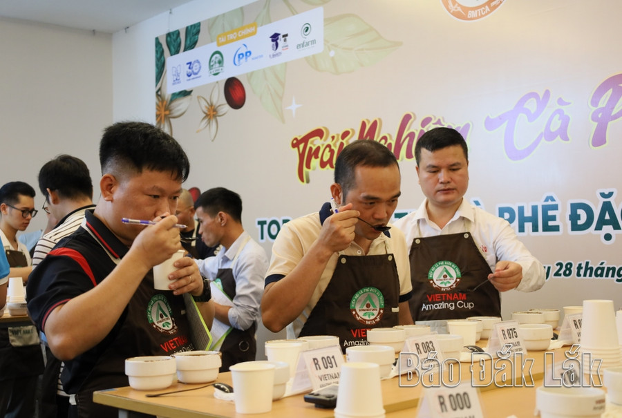 Các nhà rang xay, chế biến trải nghiệm mẫu cà phê đạt tiêu chuẩn đặc sản tại Lễ trao giải Cà phê đặc sản Việt Nam 2024. Các nhà rang xay, chế biến trải nghiệm mẫu cà phê đạt tiêu chuẩn đặc sản tại Lễ trao giải Cà phê đặc sản Việt Nam 2024.