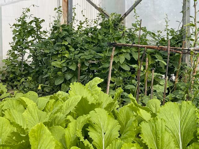 Ảnh: Nữ Vương Ảnh: Nữ Vương