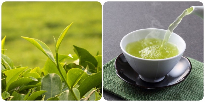 Uống chè xanh sai cách có thể gây hại cho sức khỏe.