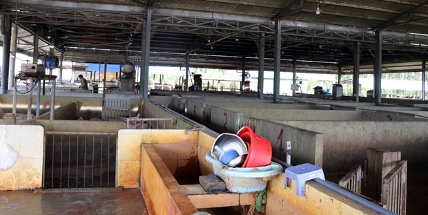 Bên trong Lò giết mổ tập trung của thành phố Kon Tum. (Ảnh: Cao Nguyên/TTXVN)