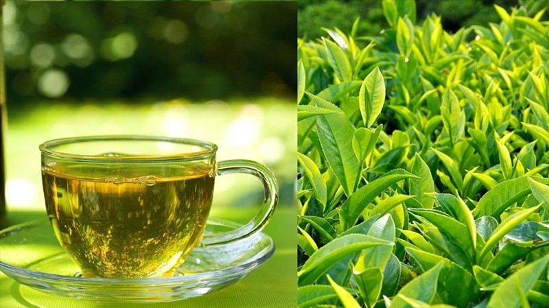Trà xanh là một trong những loại nguyên liệu có thể hỗ trợ giảm cân. Ảnh đồ hoạ: Phạm Công Trà xanh là một trong những loại nguyên liệu có thể hỗ trợ giảm cân. Ảnh đồ hoạ: Phạm Công