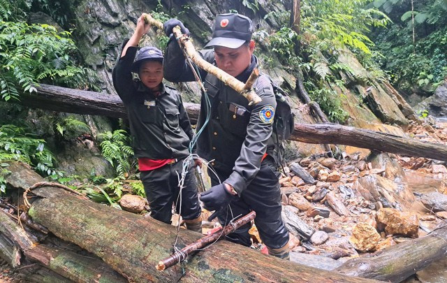 Đội tuần tra rừng và tháo gỡ bẫy phá hủy chiếc bẫy do thợ săn tạo nên. Ảnh: MẠNH CƯỜNG