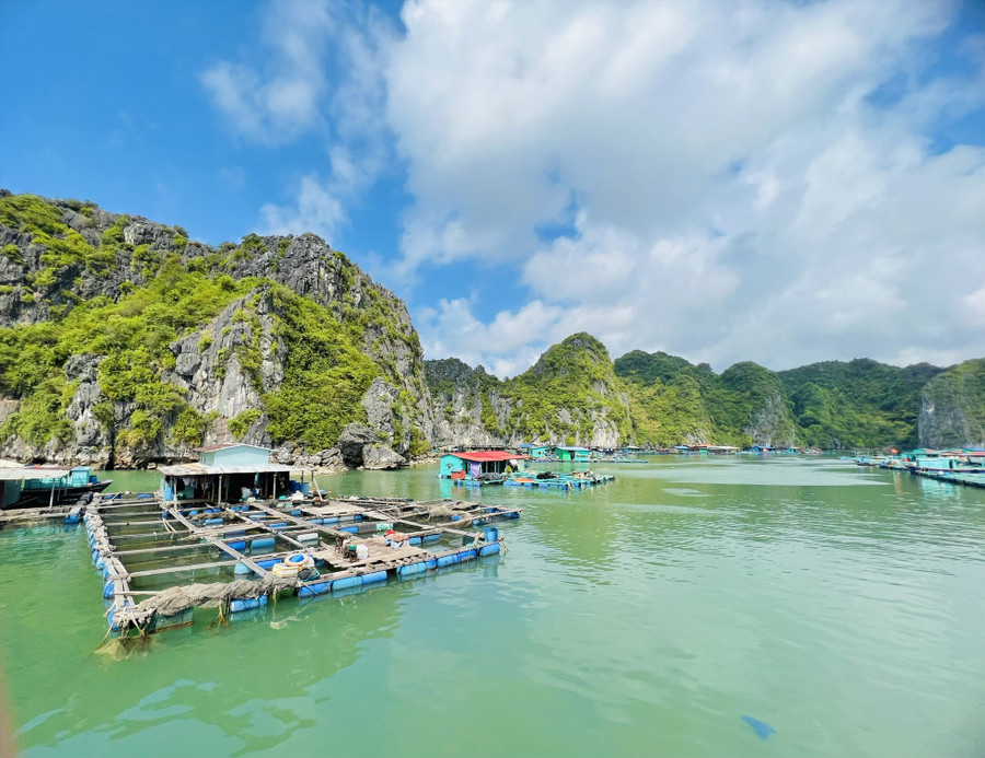 Du khách thích thú xem các bè nuôi trồng thủy hải sản trên vịnh. Du khách thích thú xem các bè nuôi trồng thủy hải sản trên vịnh.