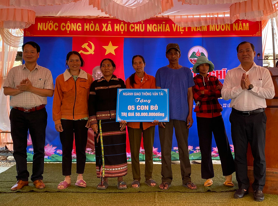 Sở Giao thông-Vận tải tặng bò hỗ trợ sinh kế cho các hộ nghèo làng Plei Hlốp. Ảnh: Hải Bình Sở Giao thông-Vận tải tặng bò hỗ trợ sinh kế cho các hộ nghèo làng Plei Hlốp. Ảnh: Hải Bình