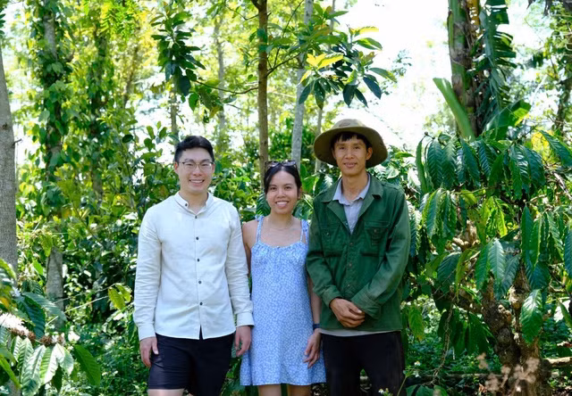 Khách tham quan vườn tiêu xen canh cà phê của Dũng. Ảnh: NVCC