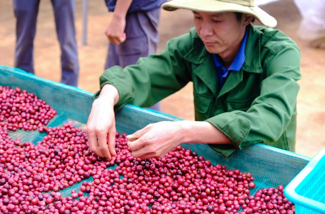 Nhờ nông nghiệp hữu cơ, Dũng hiện có cuộc sống như mong muốn. Ảnh: NVCC