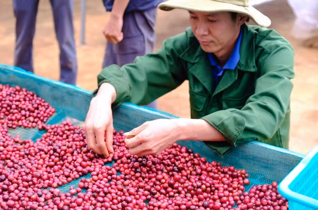 Nhờ nông nghiệp hữu cơ, Dũng hiện có cuộc sống như mong muốn. Ảnh: NVCC