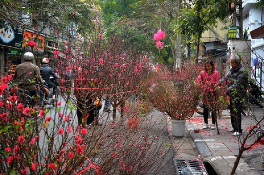 Doanh nghiệp cho người lao động nghỉ Tết Nguyên đán Ất Tỵ 2025 tới 11 ngày. Ảnh minh họa: ST. Doanh nghiệp cho người lao động nghỉ Tết Nguyên đán Ất Tỵ 2025 tới 11 ngày. Ảnh minh họa: ST.