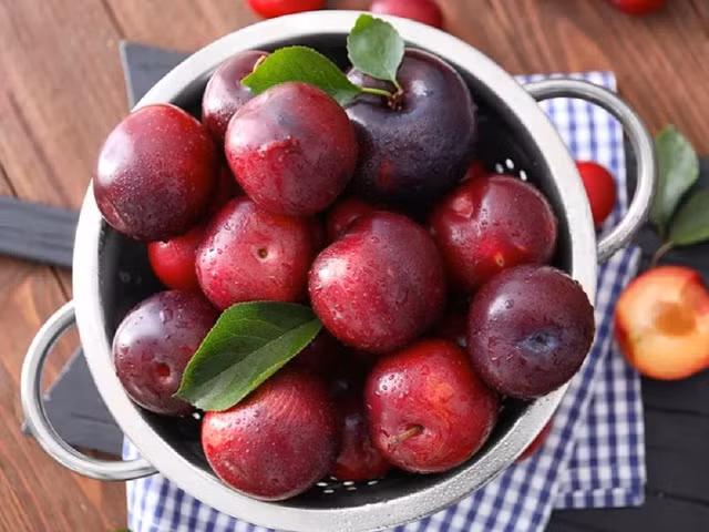 Muốn đốt mỡ nhanh thì nên ăn loại trái cây nào ? - Ảnh 1. Mận chứa chất chống ô xy hóa anthocyanin có tác dụng ngăn cản khả năng tích tụ mỡ thừa. Ảnh: SHUTTERSTOCK