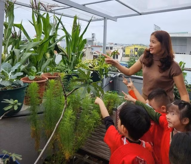 Các bé nhỏ được cô giáo đưa đến vườn nhà chị Luy để tham quan.Ảnh NVCC