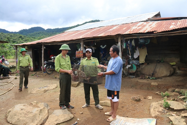 Giải cứu từ tay thợ săn, chú khỉ cụt chân được tái thả về rừng Tà Đùng - Ảnh 3. Sau khi được vận động, thuyết phục, K'Dơnh đã bàn giao con khỉ cho Kiểm lâm VQG Tà Đùng (Đắk Nông) tái thả về rừng. Ảnh: Xuân Lâm