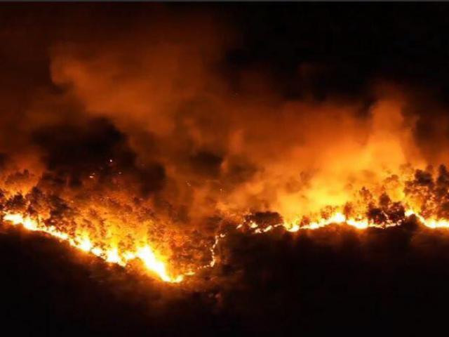 Ảnh minh họa Ảnh minh họa