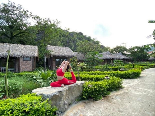Tập Yoga giữa thiên nhiên trong lành để kiểm soát và cân bằng cảm xúc. (Nguồn: Vietnam+) Tập Yoga giữa thiên nhiên trong lành để kiểm soát và cân bằng cảm xúc. (Nguồn: Vietnam+)