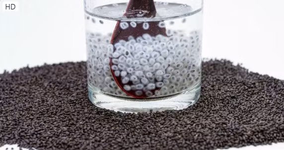 Hạt é khi ngâm vào nước sẽ nở ra thành 1 lớp màu trắng đục bao quanh hạt, các hạt rời rạc, không kết dính lại như hạt chia. Ảnh: Shutterstock