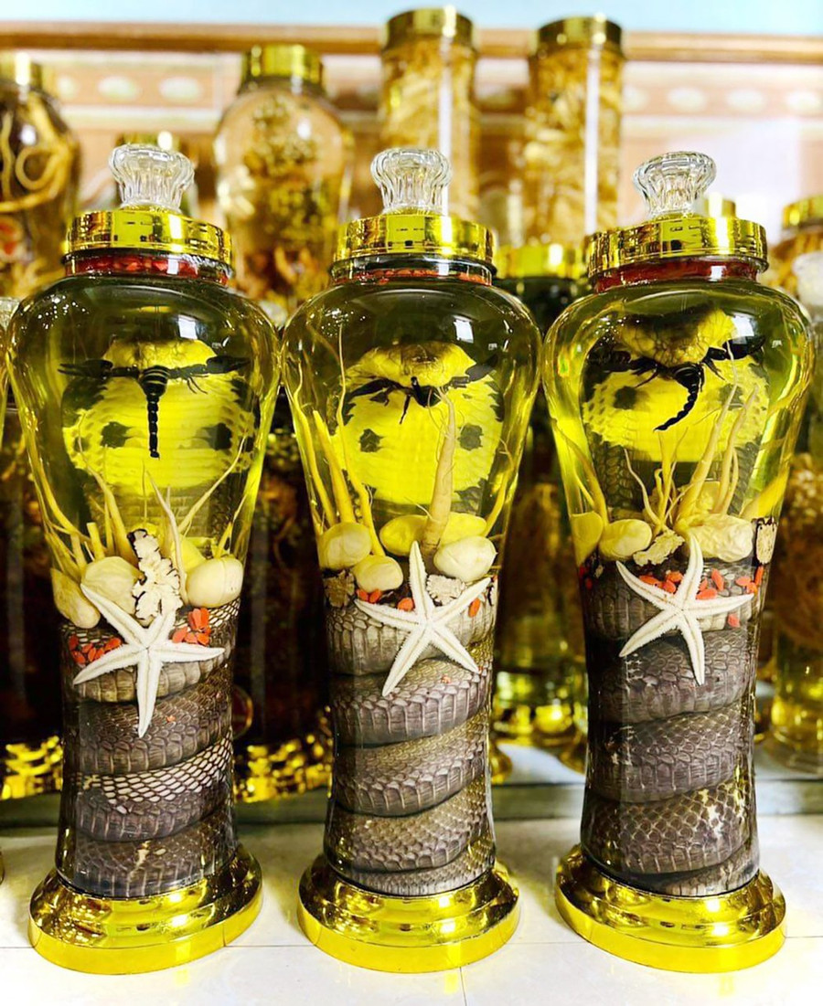 Một số loại rượu ngâm rắn được giới thiệu, bày bán ở nhiều nơi Ảnh: BÙI TUẤN Một số loại rượu ngâm rắn được giới thiệu, bày bán ở nhiều nơi Ảnh: BÙI TUẤN