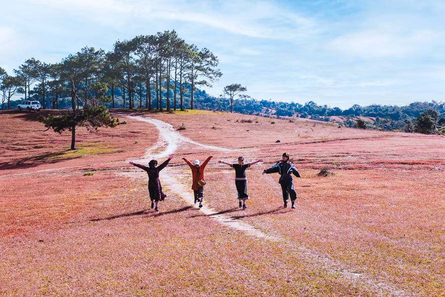 Rất nhanh, ánh nắng chan hoà trải rộng khắp đồi cỏ mênh mông chưa bị xâm lấn. Cỏ tuyết chuyển màu. Những vị khách lạ đã có thể ngồi, nằm, lăn lê... để có những bức ảnh thật đẹp và thích thú hít thở bầu không khí căng tràn sự trong lành, yên ả, tinh khôi...