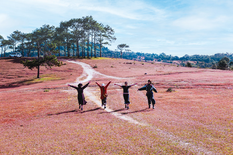 Rất nhanh, ánh nắng chan hoà trải rộng khắp đồi cỏ mênh mông chưa bị xâm lấn. Cỏ tuyết chuyển màu. Những vị khách lạ đã có thể ngồi, nằm, lăn lê... để có những bức ảnh thật đẹp và thích thú hít thở bầu không khí căng tràn sự trong lành, yên ả, tinh khôi... Rất nhanh, ánh nắng chan hoà trải rộng khắp đồi cỏ mênh mông chưa bị xâm lấn. Cỏ tuyết chuyển màu. Những vị khách lạ đã có thể ngồi, nằm, lăn lê... để có những bức ảnh thật đẹp và thích thú hít thở bầu không khí căng tràn sự trong lành, yên ả, tinh khôi...