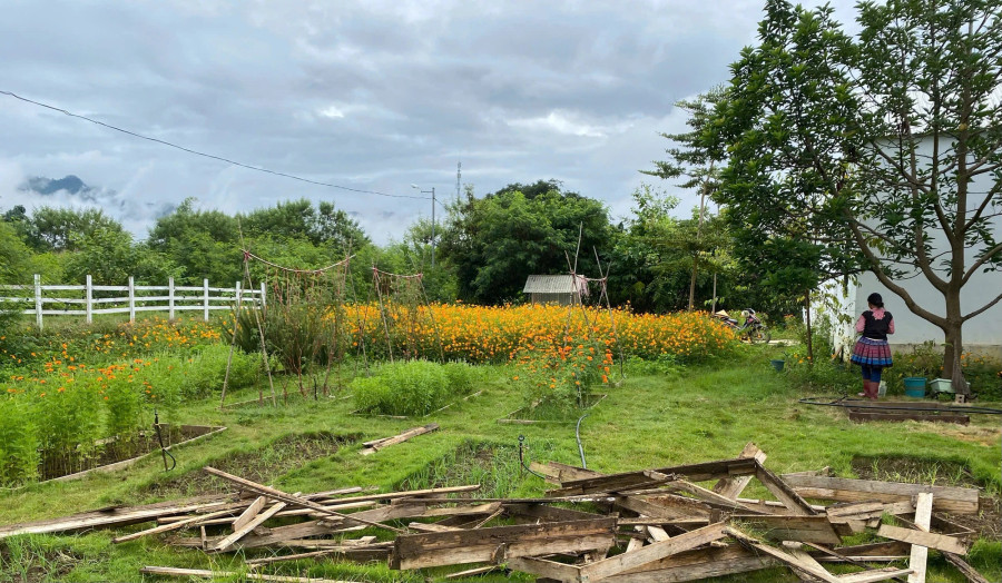 Khu vườn bị hỏng sau cơn bão nhưng không quá đáng kể. Chủ nhân đang cố gắng cải tạo. ẢNH: NVCC Khu vườn bị hỏng sau cơn bão nhưng không quá đáng kể. Chủ nhân đang cố gắng cải tạo. ẢNH: NVCC