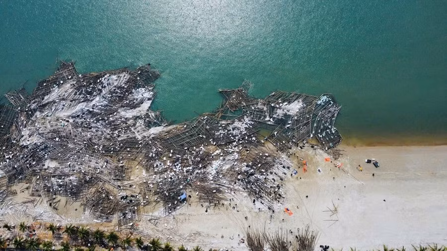 Những gì mà bão Yagi để lại sau khi quét ra Hạ Long. (Ảnh: CTV/Vietnam+)