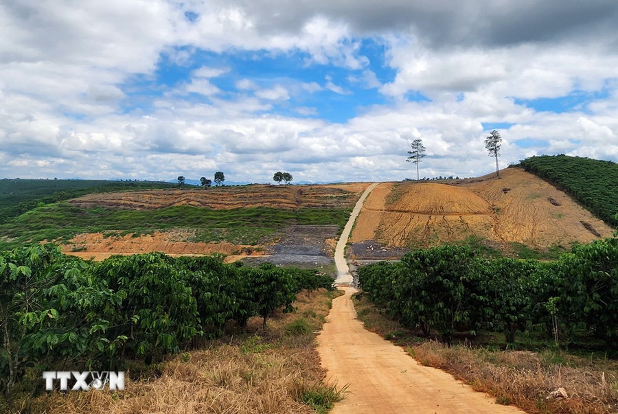 88ha rừng đã bị mất trong 16 năm triển khai dự án. (Ảnh: Quốc Hùng/TTXVN) 88ha rừng đã bị mất trong 16 năm triển khai dự án. (Ảnh: Quốc Hùng/TTXVN)