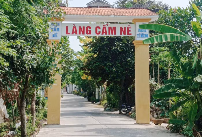 Làng chiếu Cẩm Nê một thời hoàng kim, giờ chỉ còn một hộ dệt chiếu.