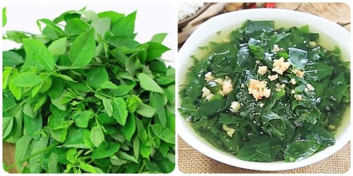Rau ngót tốt cho sức khỏe nhưng không phải ai cũng ăn được