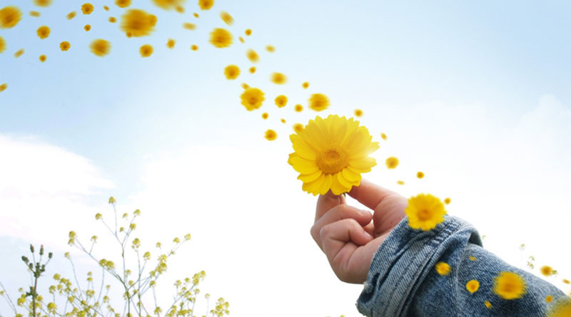 Ảnh minh họa Ảnh minh họa