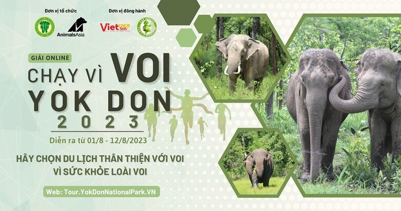 Giải online “Chạy vì loài voi Yok Đôn” lần 2 năm 2023 nhằm nâng cao nhận thức của cộng đồng biết đến “Ngày voi thế giới”.
