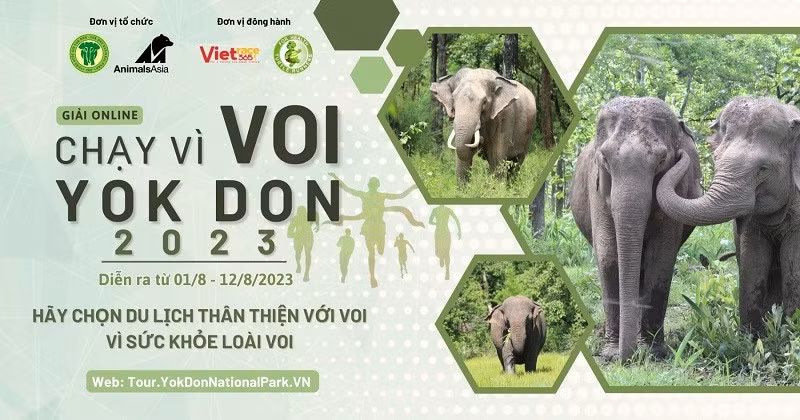 Giải online “Chạy vì loài voi Yok Đôn” lần 2 năm 2023 nhằm nâng cao nhận thức của cộng đồng biết đến “Ngày voi thế giới”.