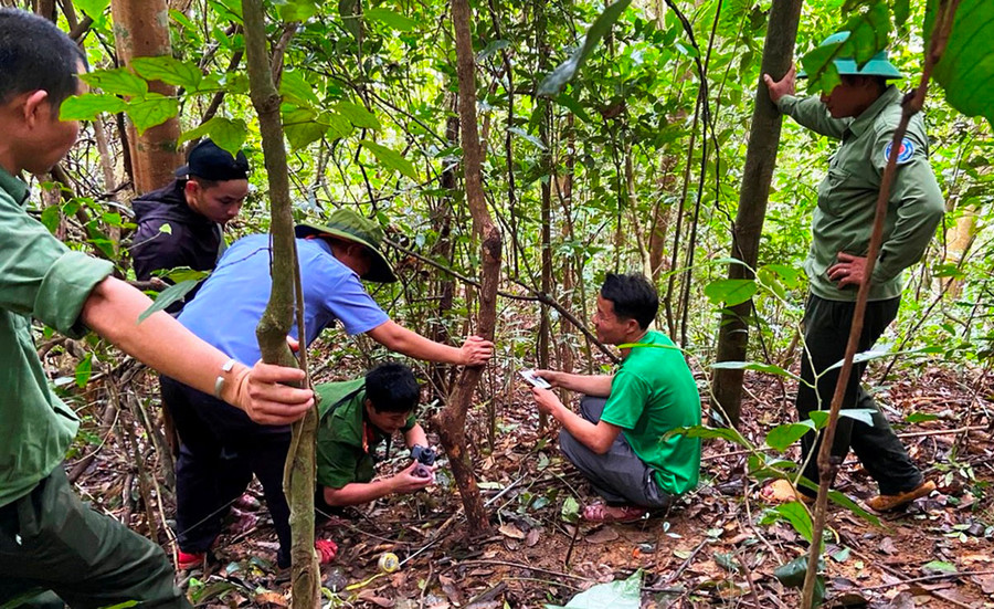 Hiện trường vụ dùng súng tự chế bắn nhầm người. Ảnh: T.T