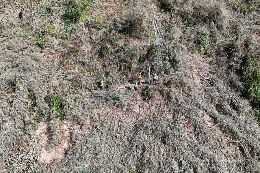 Khu vực rừng bị phá trái phép tại tiểu khu 1768, xã Đắk R'măng (Đắk Glong) Khu vực rừng bị phá trái phép tại tiểu khu 1768, xã Đắk R'măng (Đắk Glong)