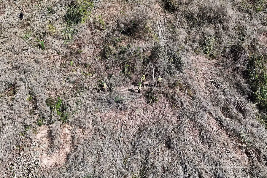 Khu vực rừng bị phá trái phép tại tiểu khu 1768, xã Đắk R'măng (Đắk Glong)