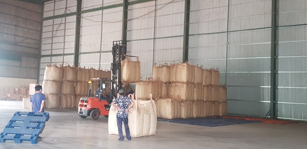 Sản xuất càphê tại Công ty 2-9. (Ảnh: PV/Vietnam+) Sản xuất càphê tại Công ty 2-9. (Ảnh: PV/Vietnam+)