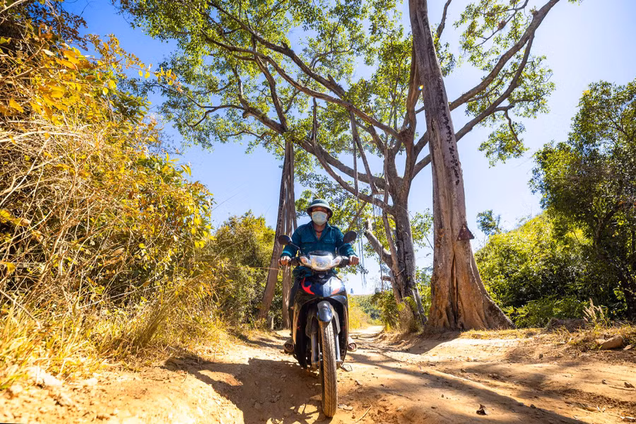 Cây đa cổ thụ tạo thành một cái cổng trên đường vào thác Đăk Ruồi. Ảnh: NB