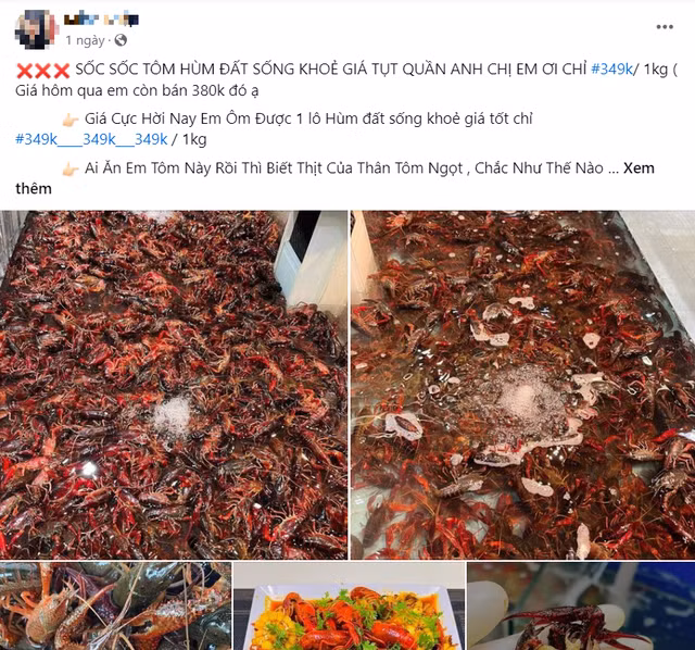 Tôm hùm đất bán tràn lan trên mạng xã hội Ảnh chụp màn hình Tôm hùm đất bán tràn lan trên mạng xã hội Ảnh chụp màn hình