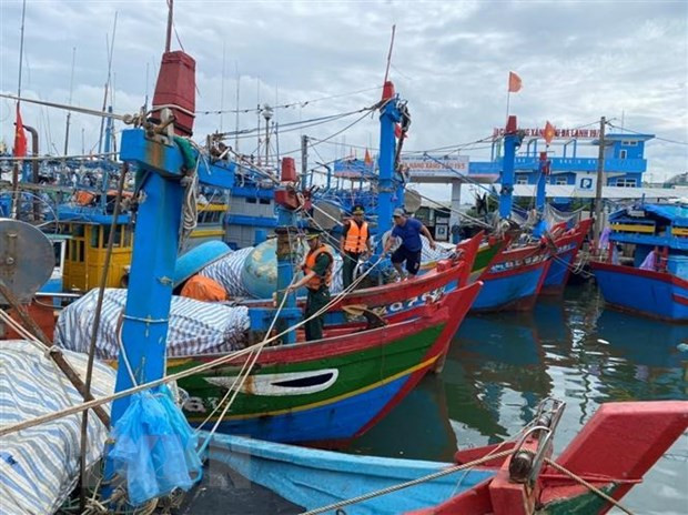 Tàu thuyền tránh trú bão. (Ảnh minh họa: Đinh Hương/TTXVN)