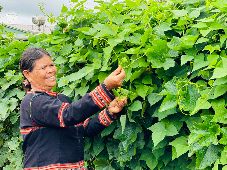 Gia đình bà Puih Bil thoát nghèo nhờ biết tích góp, tiết kiệm. Ảnh: Mai Ka