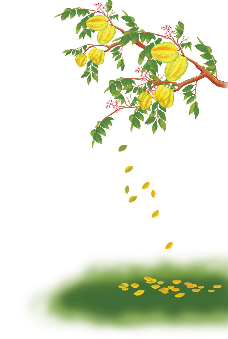 Minh họa: T.N Minh họa: T.N