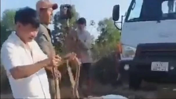 Con rắn được người phụ nữ mang lên bờ. Ảnh: Chụp màn hình Con rắn được người phụ nữ mang lên bờ. Ảnh: Chụp màn hình