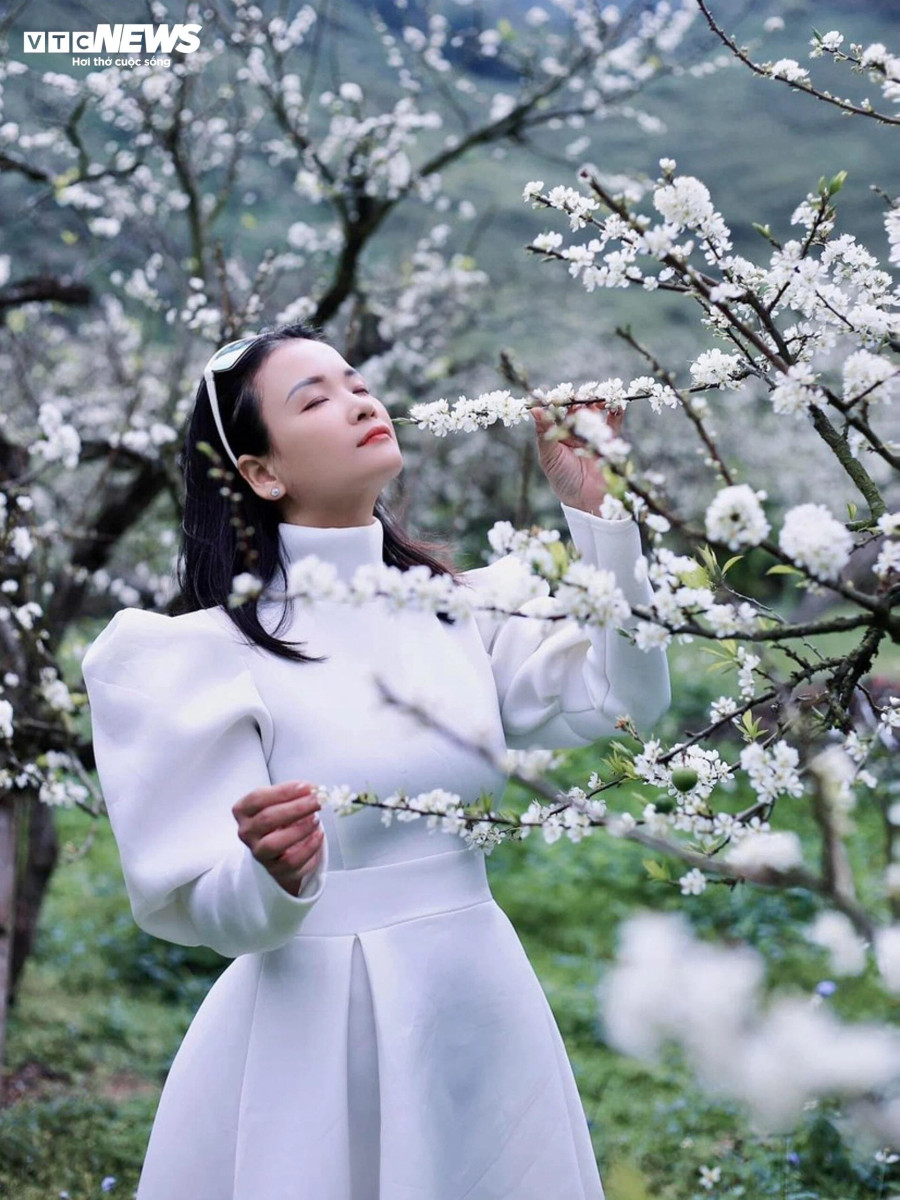 &quot;Vì hoa mận chỉ nở rộ trong thời gian ngắn nên nhiều người ở xa vẫn cố gắng sắp xếp công việc để được tới vùng đất cao nguyên, đắm mình trong những cánh rừng mận trắng muốt&quot;, Mỹ Hà chia sẻ.