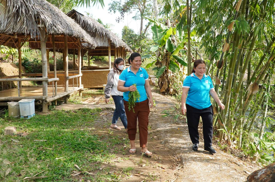 Farm H&T đã đầu tư 5 nhà chòi cho du khách nghỉ ngơi. Ảnh: V.T Farm H&T đã đầu tư 5 nhà chòi cho du khách nghỉ ngơi. Ảnh: V.T