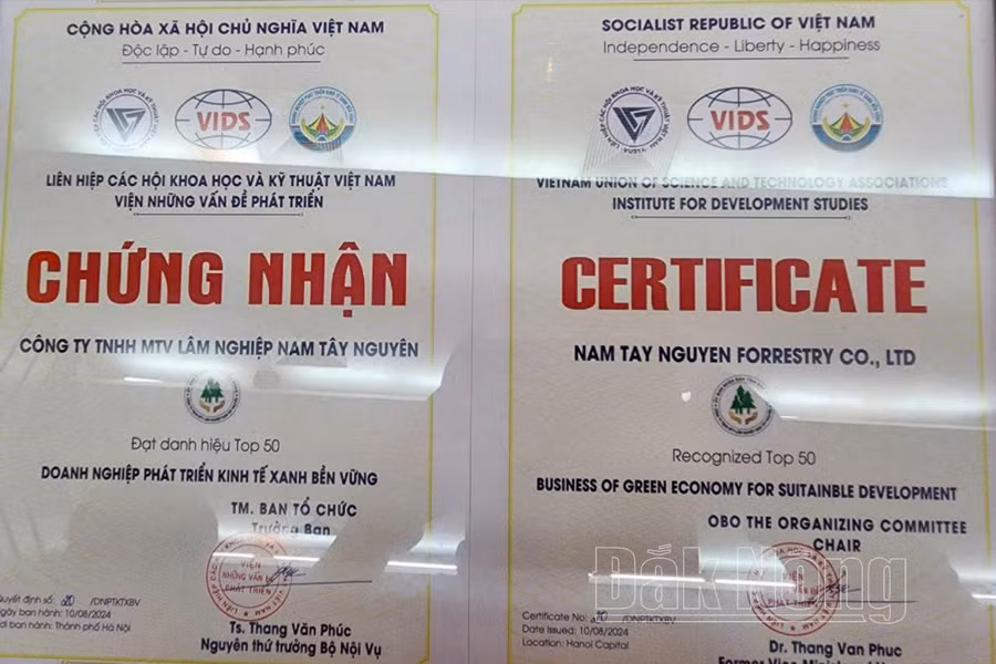 Công ty TNHH MTV Lâm nghiệp Nam Tây Nguyên được chứng nhận nằm trong nhóm 50 doanh nghiệp phát triển kinh tế xanh bền vững của Việt Nam.