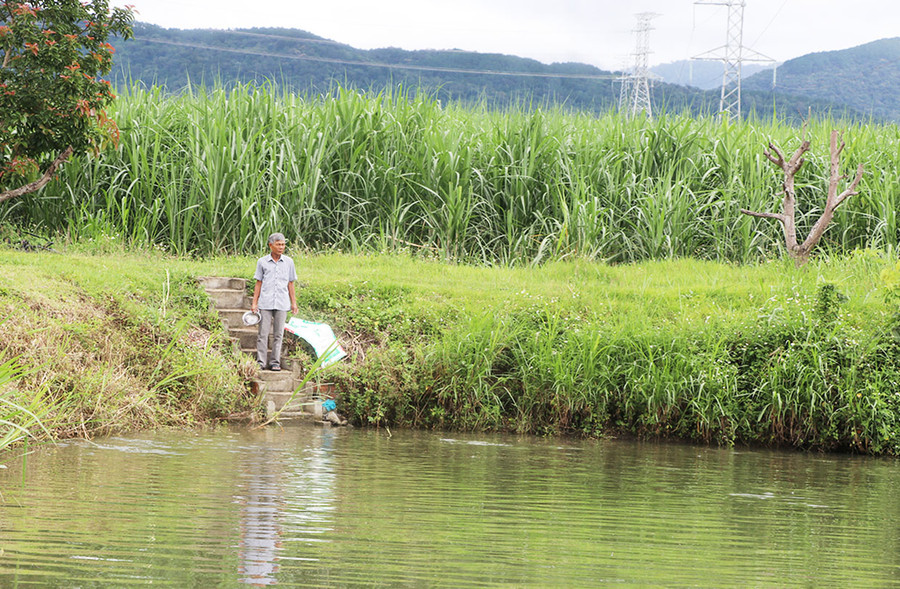 Ông Nguyễn Văn Minh (thôn 5, xã An Thành) đã vay 20 triệu đồng từ Quỹ Hỗ trợ nông dân để thả cá, có thêm nguồn thu nhập cho gia đình. Ảnh Ngọc Minh Ông Nguyễn Văn Minh (thôn 5, xã An Thành) đã vay 20 triệu đồng từ Quỹ Hỗ trợ nông dân để thả cá, có thêm nguồn thu nhập cho gia đình. Ảnh Ngọc Minh