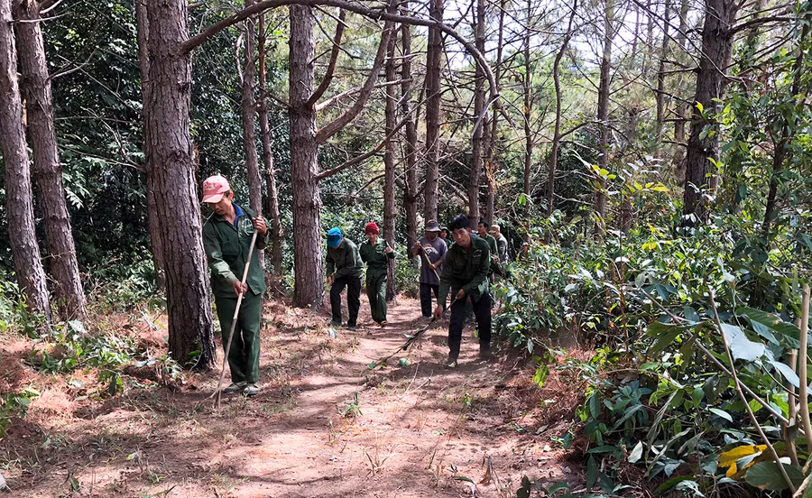 Ban Quản lý rừng phòng hộ Ia Ly phối hợp với người dân xã Ia Kreng (huyện Chư Păh) làm đường ranh cản lửa để phòng-chống cháy rừng. Ảnh: N.S Ban Quản lý rừng phòng hộ Ia Ly phối hợp với người dân xã Ia Kreng (huyện Chư Păh) làm đường ranh cản lửa để phòng-chống cháy rừng. Ảnh: N.S