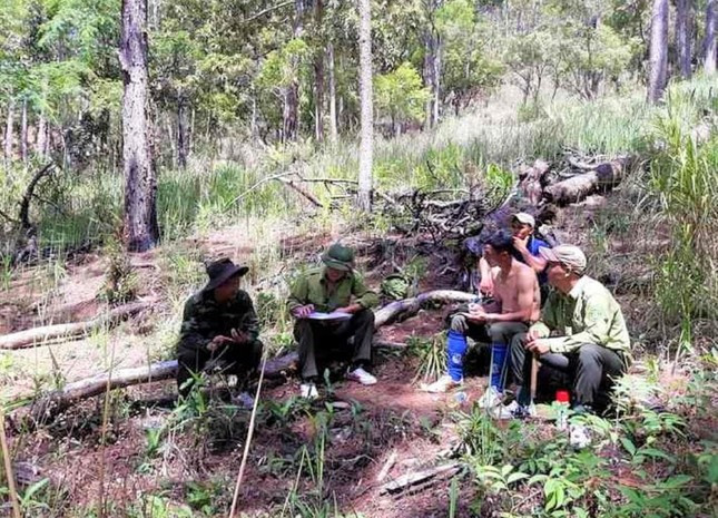 Công việc tuần tra của lượng lượng quản lý, bảo vệ rừng Công việc tuần tra của lượng lượng quản lý, bảo vệ rừng